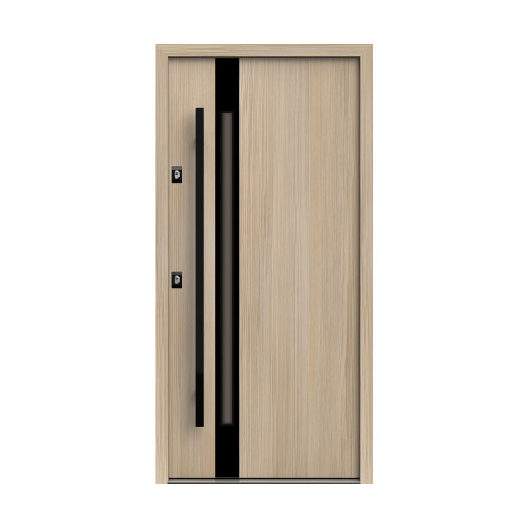 Porta in legno d'acciaio in stile europeo con colore della superficie abbinato